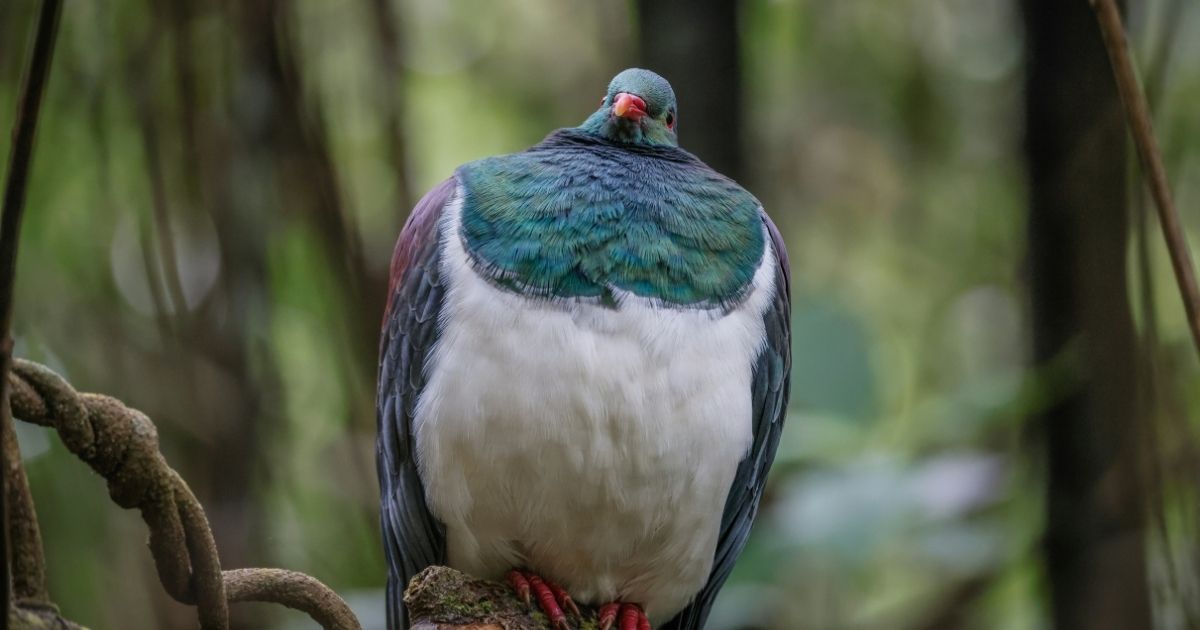 Tenure vs Experience: How to Not Pigeonhole Yourself